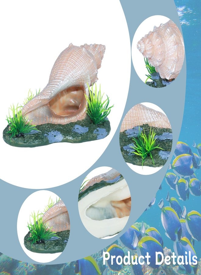 AnRui Ceramic Conch with Holes and Two Small Fish Thematic Betta Fish Tank Accessory Decor Ornament for Fish Passing or Hiding Safely,Aquarium Decoration for Small and Medium Animal (Cute 1) - Image 4